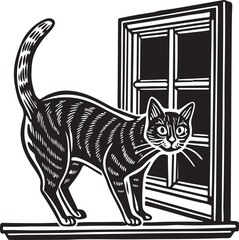 Isolated, cute, domestic black cat with big eyes and a white face, a portrait of a furry feline kitten