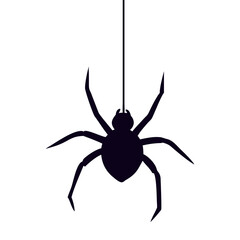 Silhouette Spider Hanging from Web