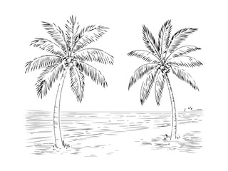 palm trees on the beach engraving outline vector art illustration design, palm tree silhouette, hand drawn beach drawing, line art palm tree, sea, beach, summer view, vintage palm tree on sea beach. © SagorKundu
