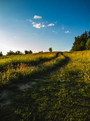 Beautiful summer landscape: a path through a green field under a clear blue sky with rare clouds. Ideal for walks and nature.