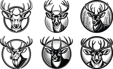 Deer Head Isolated on White Background – Realistic Wildlife Taxidermy, Animal Trophy Wall Mount, Stag Antlers, Forest Animal Portrait for Nature, Hunting, Rustic, or Cabin Decor Concepts

