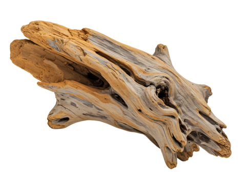 Weathered wood fragment isolated on transparent background - Powered by Adobe