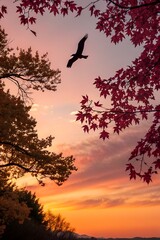 Obraz premium birds on sunset