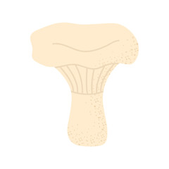 Milk mushroom. Vector on transparent background