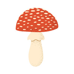 Fly agaric mushroom. Vector on transparent background
