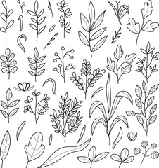 set of hand drawn vector illustration of an abstract leaves, line art isolated graphic elements for your design, leaves line art for classic design