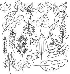 simple set of hand drawn vector illustration of an abstract leaves, line art isolated graphic elements for your design, floral line art for classic design
