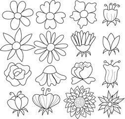 simple set of hand drawn vector illustration of an abstract floral, line art isolated graphic elements for your design, floral line art for classic design