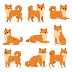 Nine illustrations of Shiba Inu dogs in various poses, against a white background