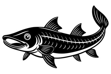 fish vector illustration