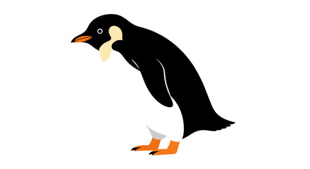 Fototapeta premium Graphic vector illustration of a cute standing penguin isolated on a white background. Adorable Antarctic bird character design.