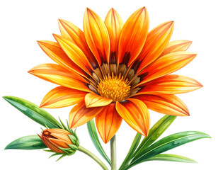 Watercolor Illustration of Flax Stem with Blossoms and Buds, isolated on transparent background