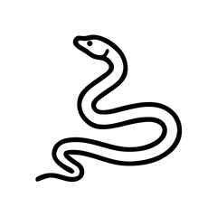black and white snake