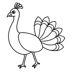 Fototapeta premium Cartoon peacock isolated on white background illustration vector