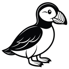 Fototapeta premium Puffin isolated on white background, a seabird with colorful beak