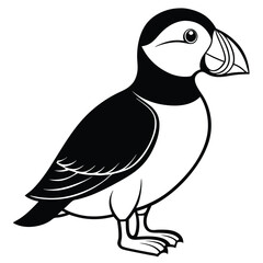 Obraz premium Puffin isolated on white background, a seabird with colorful beak