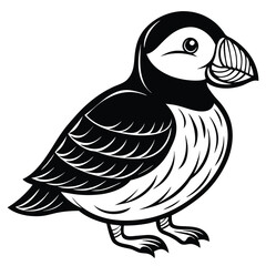 Fototapeta premium Puffin isolated on white background, a seabird with colorful beak