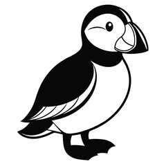 Puffin isolated on white background, a seabird with colorful beak