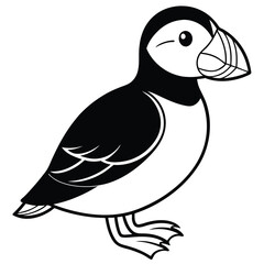 Puffin isolated on white background, a seabird with colorful beak