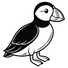 Obraz premium Puffin isolated on white background, a seabird with colorful beak