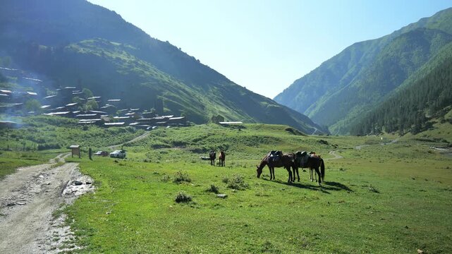 Dartlo village landscape in Tusheti, Georgia.