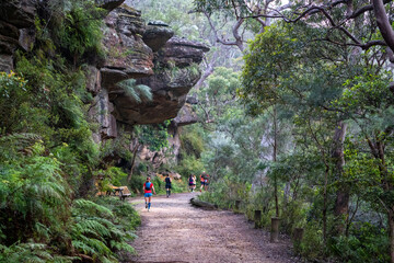 Trail runners on a forest path in Royal National Park, Australia