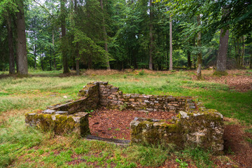 Wilderness at Hunsr&uuml;ck‑Hochwald, Germany