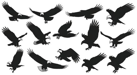 Obraz premium Majestic Bald Eagles Silhouettes in Flight A Powerful Symbol of Freedom and Strength