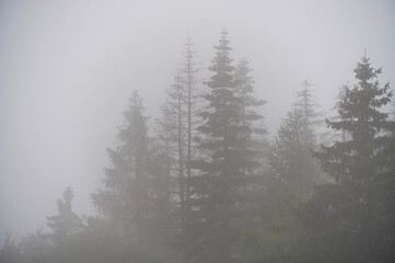 The Otzenhausen ring wall at Hunsrück‑Hochwald, Germany