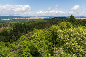 Obraz premium Forested Highlands of Hunsrück, Germany