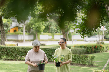 Asian senior couple enjoy takes care outdoor plants garden