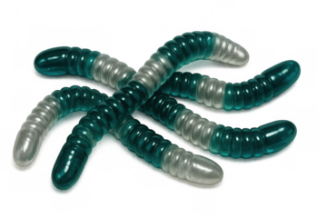 Teal and white gummy worms wriggling across transparent surface, suggesting whimsical candy design