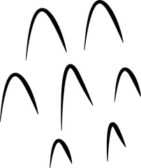 black and white abstract line