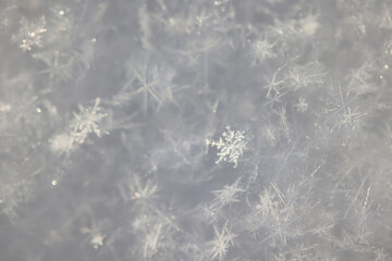 Winter white snow background, abstract blurred snowfall surface