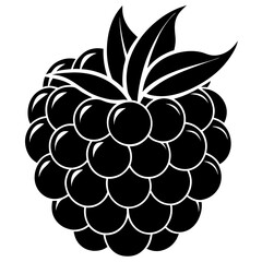 vector illustration of an apple