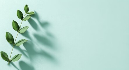 Dramatic shadows cast by green leaves on turquoise walls in sunlight generate a natural abstract pattern, distinguished by soft light and dark contrasts, which defines minimalist spring decor