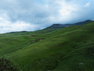 Fototapeta premium Aerial view of beautiful high altitude grassland mountains and snow capped mountain landscape in China