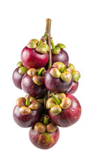 A bundle of ripe mangosteen fruits still connected to the stem