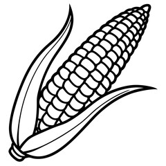 Outline of Ripe Corn with Husk 