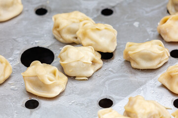 A tray of dumplings sits on a counter
