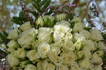 Floral background of faux roses is saddled with bright light
