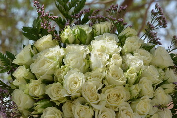 Floral background of faux roses is saddled with bright light