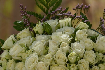 Floral background of faux roses is saddled with bright light