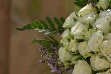 Floral background of faux roses is saddled with bright light