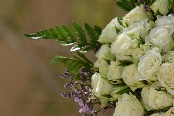 Floral background of faux roses is saddled with bright light