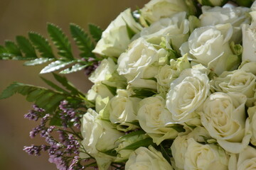 Floral background of faux roses is saddled with bright light