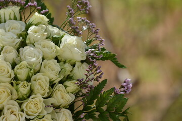 Floral background of faux roses is saddled with bright light