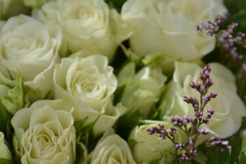 Floral background of faux roses is saddled with bright light