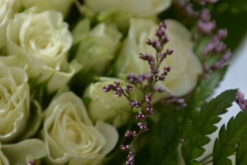 Floral background of faux roses is saddled with bright light