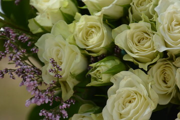 white roses bouquet